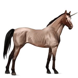 Ездитен еднорог Английски кон Пъстър косъм