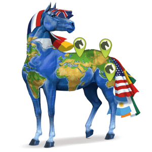 Ездитен еднорог Английски кон Светлосив