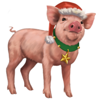 compagnon-pig.png